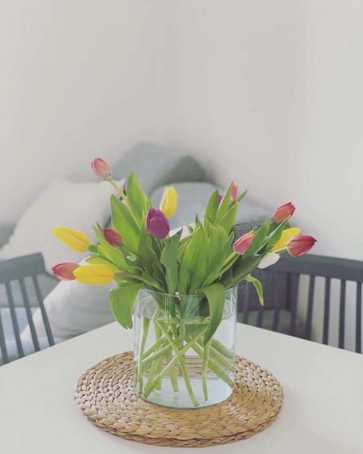 Cioccis Boutique Apartment Ρώμη Εξωτερικό φωτογραφία